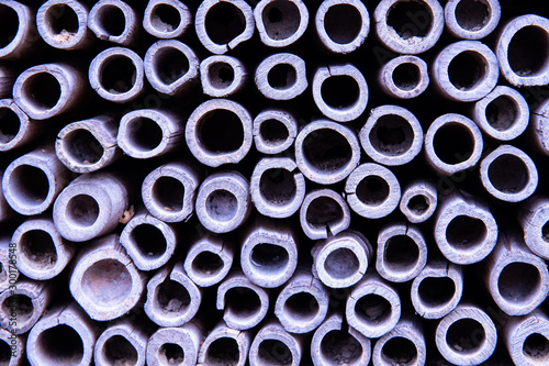 Stacked reed tubes in an insect hotel