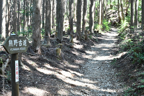 熊野古道 12番附近 熊野古道看板