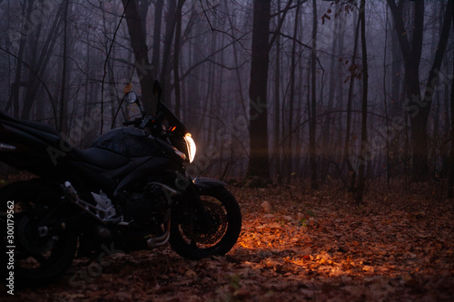 Heavy fog in the autumn forest and black motorcycle