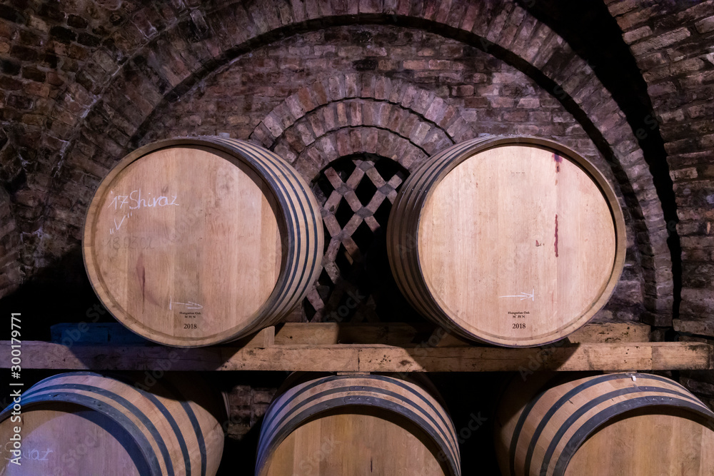 wine barrels in the cellar, Szekszard, Hungary