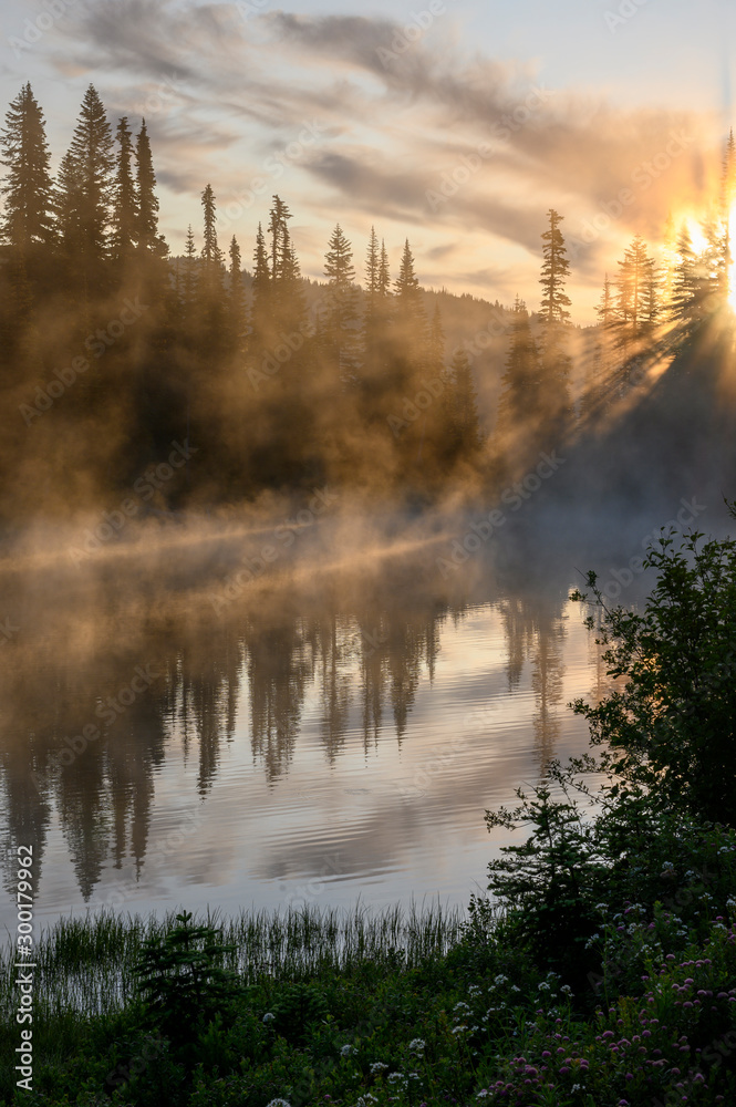 Fototapeta premium fog over pond