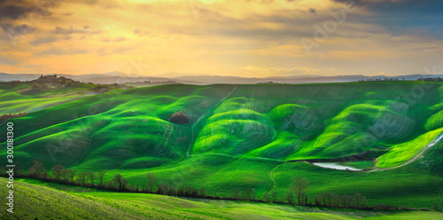 Tuscany panorama, rolling hills, trees and green fields. Italy © stevanzz
