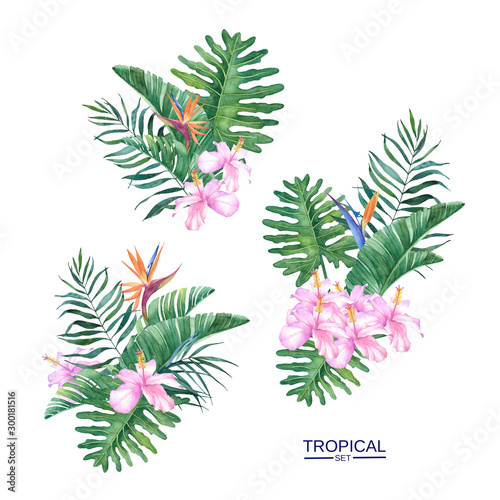 Set of tropical bouquets on a white background for design and textiles.