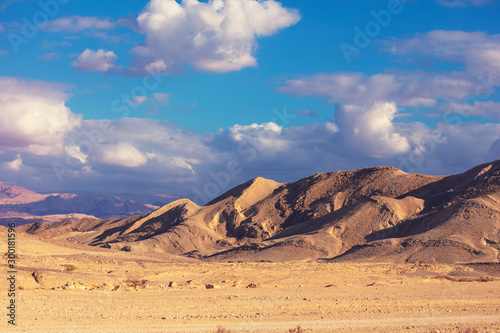 Mountain nature landscape. Desert on a sunny day. Negev Desert. View of the valley with mountains on backdrop. Nature Israel