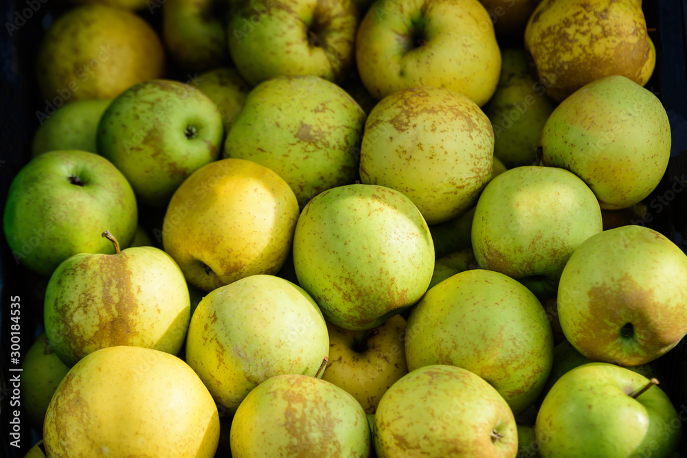 Group of fresh green apples displayed for sale at a street food market in Bucharest, Romania, natural background, soft focus Group of fresh green apples displayed for sale at a street food market in Bucharest, Romania, natural background, soft focus