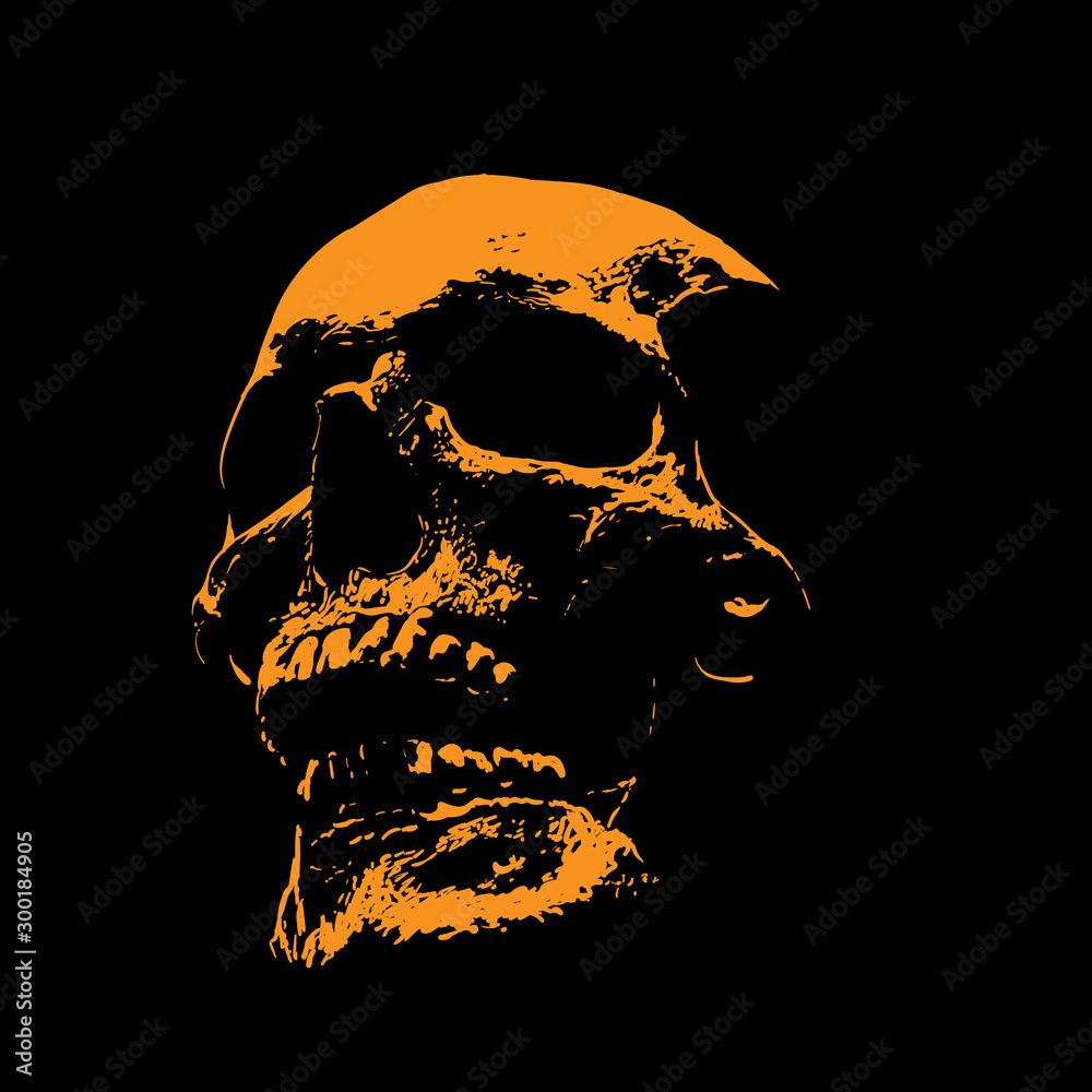 Scull portrait silhouette in contrast backlight. Vector. Illustration.