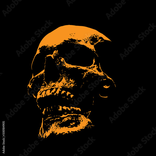 Fotografie, Obraz Scull portrait silhouette in contrast backlight