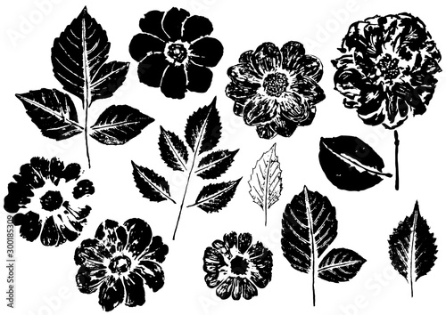 ink prints of dahlia leaves and flowers