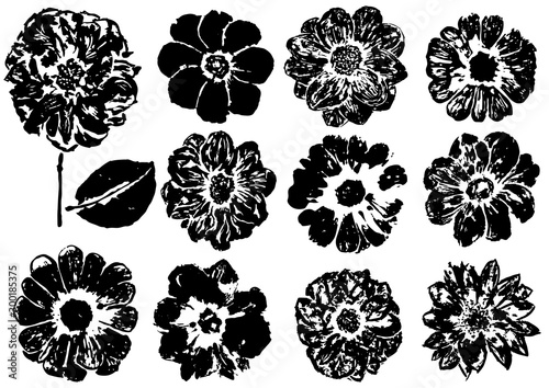 set of ink prints of dahlia flowers