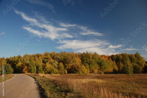 autumn landscape with road and clouds