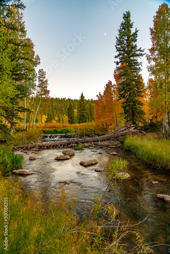 Fototapeta Naklejka Na Ścianę i Meble -  Duck Creek and the Aspen in Fall