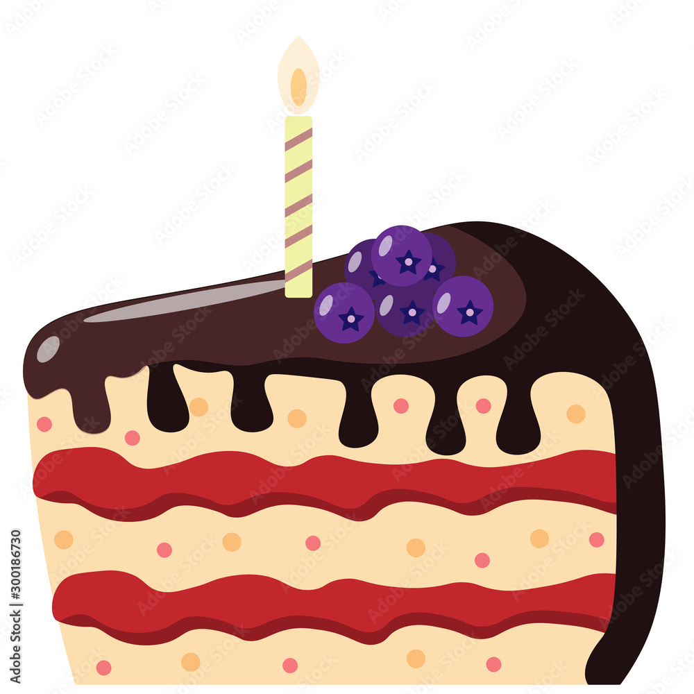 chocolate cake with a candle and blueberries chocolate cake with a candle and blueberries