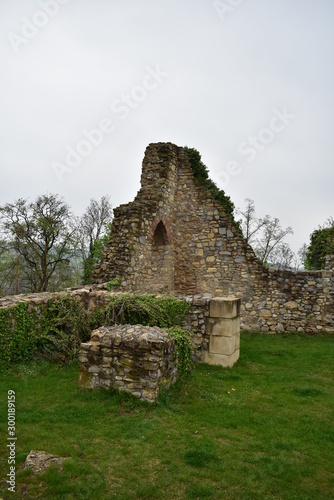 ruins of old abbey in Hungary