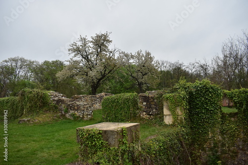 ruins of old abbey in Hungary