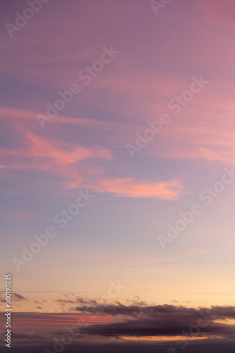 Purple sky with pink clouds © Регина Шарипова
