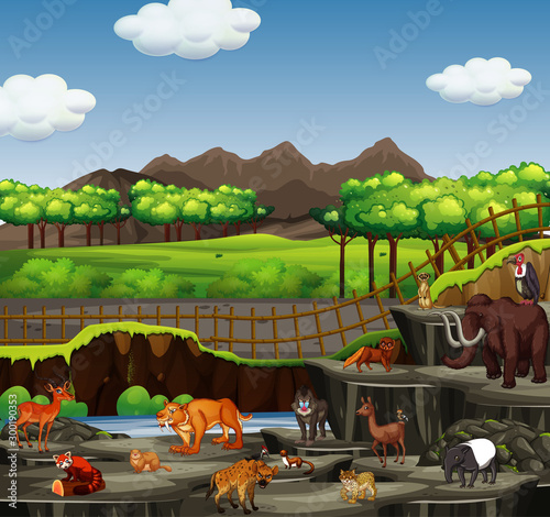 Scene with many animals in open zoo