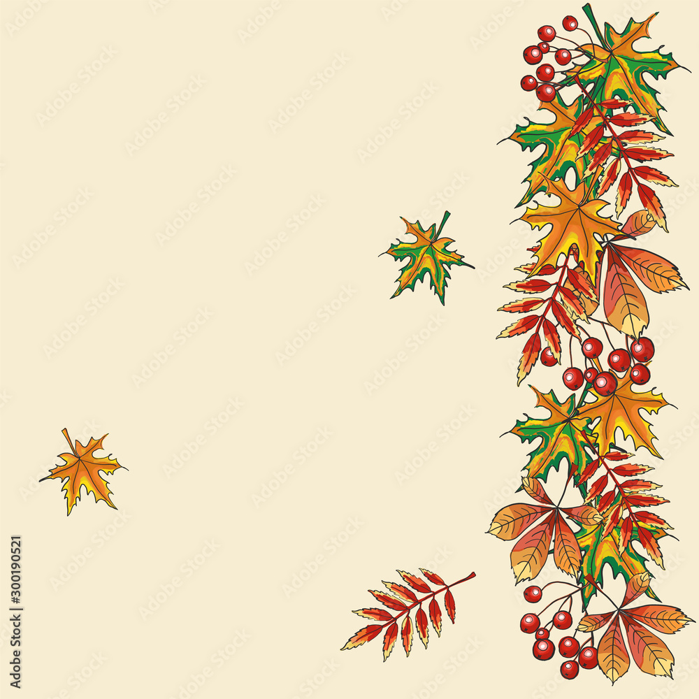 Composition of bright autumn leaves and cranberries. Thanksgiving holiday. Composition of bright autumn leaves and cranberries. Thanksgiving holiday.