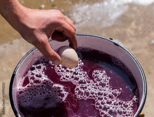 Wine-making. Using a chicken egg to determine the sugar level in the must. Harvest home. The ancient folk tradition of grape processing in Moldova.