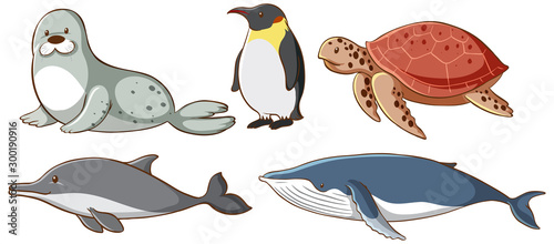 Isolated picture of sea creatures