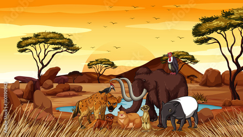 Scene with many animals in savanna