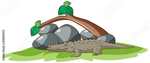 Isolated picture of crocodile in the park