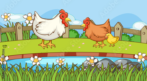 Scene with chicken on the farm