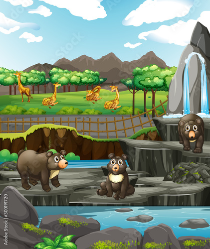 Scene with animals at the zoo