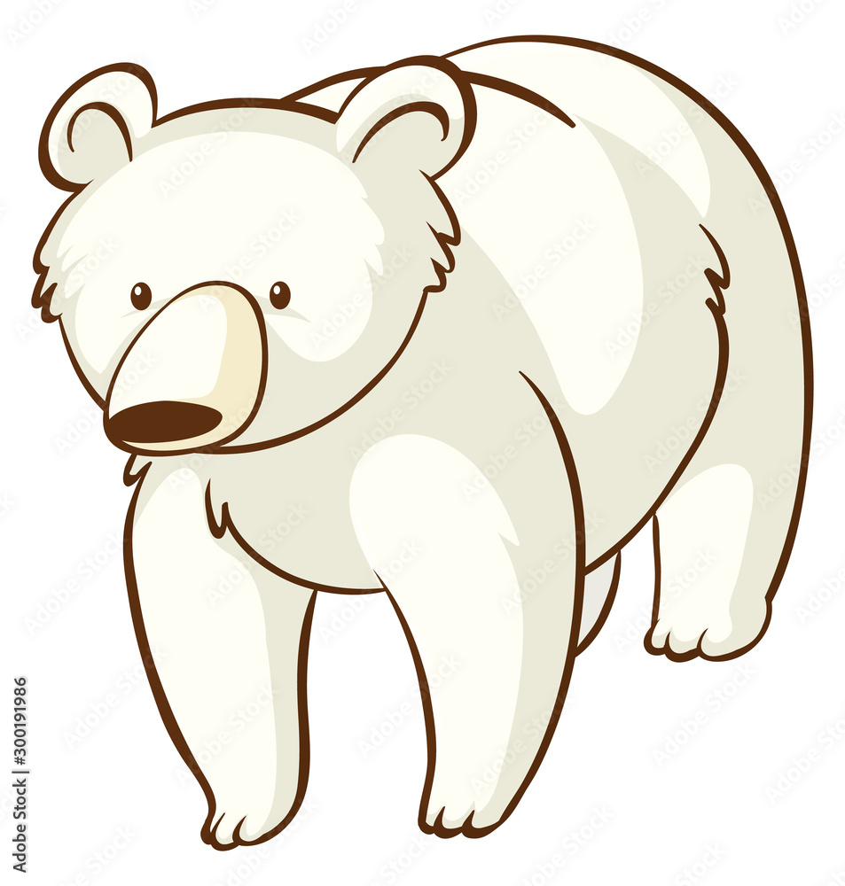 Polar bear on white background Polar bear on white background