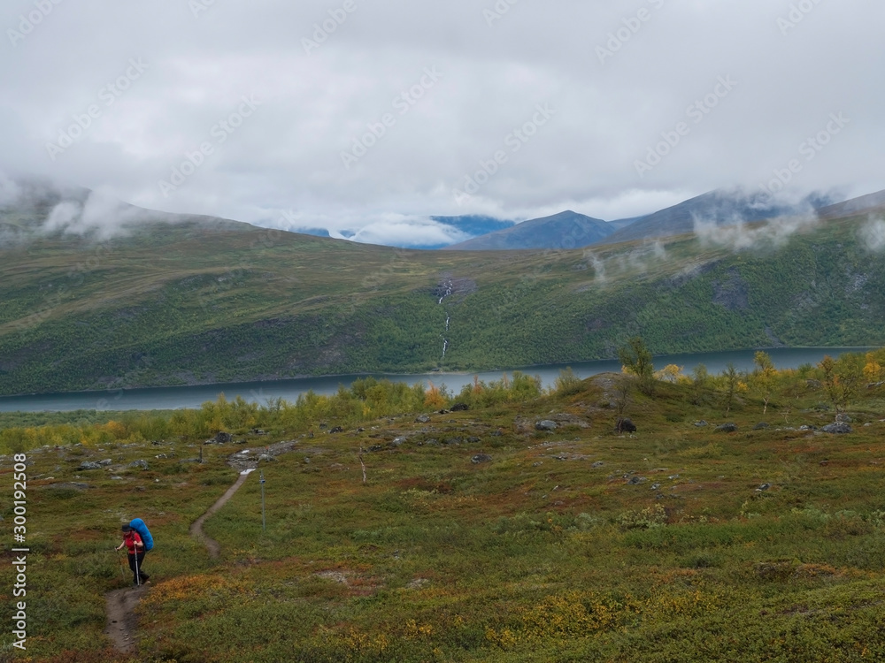Senior woman hiker at Kungsleden hiking trail with Lapland nature with green mountains, Teusajaure lake, rock boulders, autumn colored bushes, birch tree and heath in mist and clouds