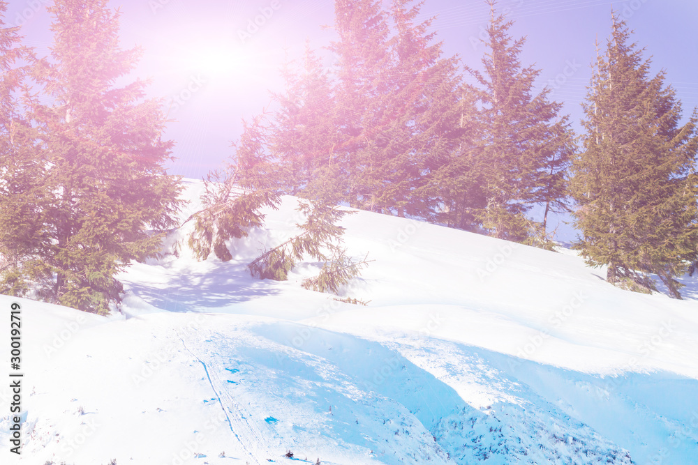 Obraz premium Winter snow background. Snow on the hills with blue sky in the back.