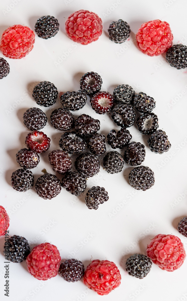 Red and black raspberries laid out in a circle on a white background.