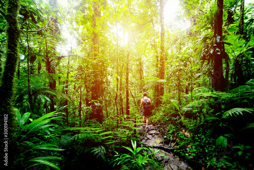 Man exploring Basse Terre's jungle in Guadeloupe
