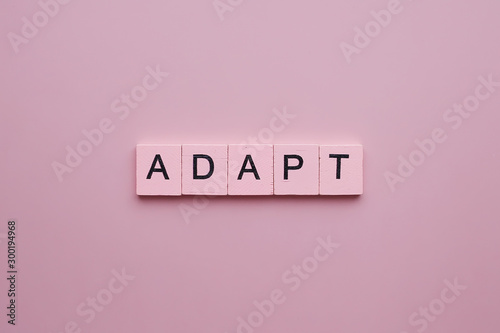 Adapt word wooden cubes on pink background
