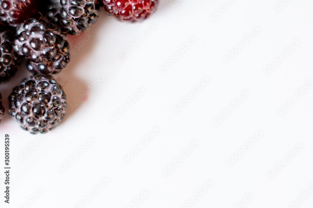 Red and black raspberries closeup on a white background. Red and black raspberries closeup on a white background.