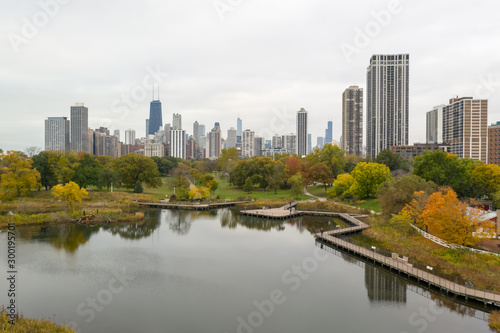 Chicago downtown buildings skyline fall foliage aerial drone © blvdone