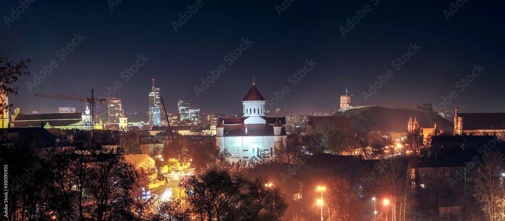 Vilnius city skyline at night