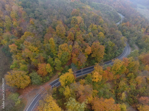 Aerial view of road from forest, autumn season, beautiful colorful landscape