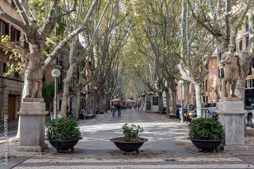 La Rambla of Palma