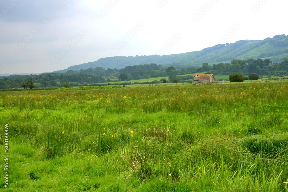 View Across Amberley Wildbrooks with the South Downs Beyond View Across Amberley Wildbrooks with the South Downs Beyond