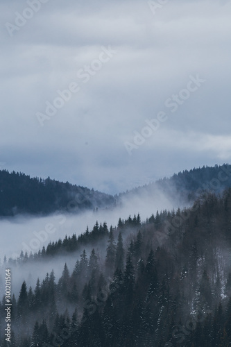 Beautiful rising fog in winter mountain landscape. © belyaaa