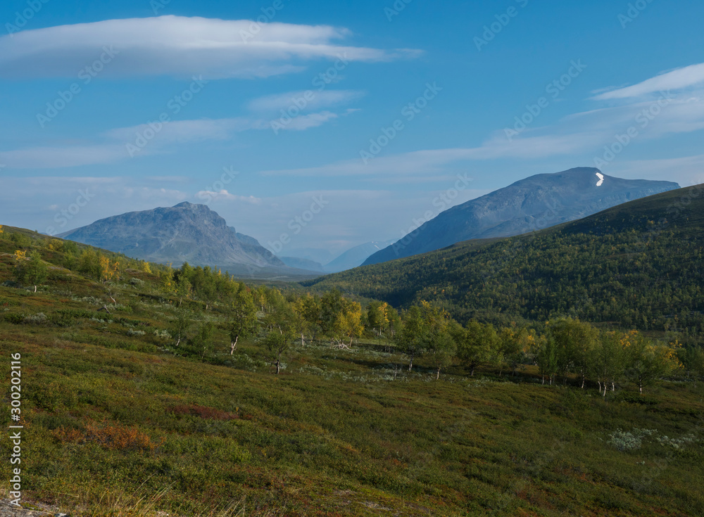 Beautiful wild Lapland nature landscape with green bushes, snow capped mountains and birch tree forest. Northern Sweden summer at Kungsleden hiking trail.