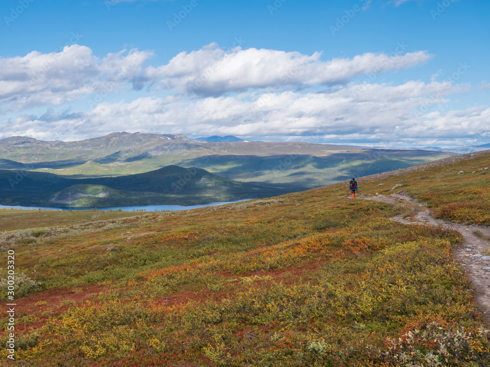 Lonely man hiker at Kungsleden hiking trail with Lapland nature with green mountains, river Lulealven, rock boulders, autumn colored bushes, birch tree and heath. Blue sky white clouds.