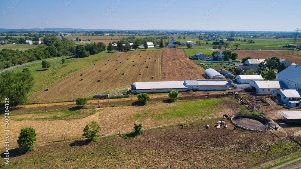 Aerial View of Amish Farm Harvest Rolled Crops ready for Storage on a Sunny Day as Seen by a Drone