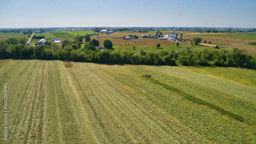Aerial View of an Amish Farm Harvesting his Crop using Horses and Antique Equipment as Seen by a Drone