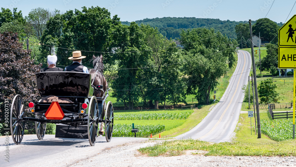 Amish Open Horse and Buggy with 2 Amish Adults in it trotting down the Hill on a Sunny Day Amish Open Horse and Buggy with 2 Amish Adults in it trotting down the Hill on a Sunny Day