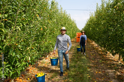 Man holding bucket with bruised apples