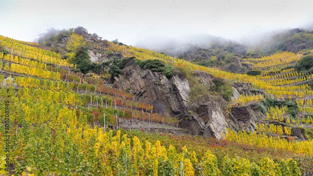 Weinterrassen an der Ahr im Herbst