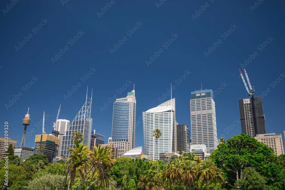 Fototapeta premium Sydney skiline and park