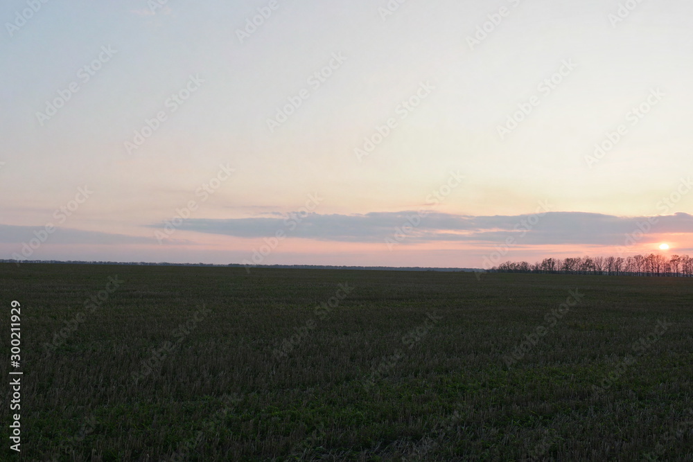 sunset over green field Ukraine