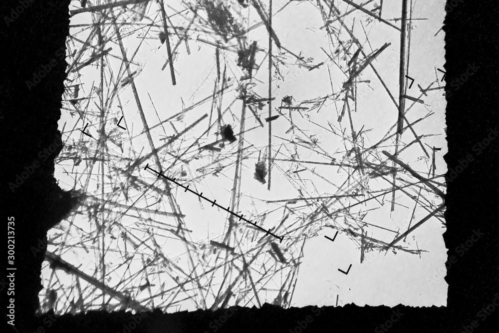 Obraz premium Environmental laboratory, Actinolite fibers (asbestos variety) seen on the fluorescent screen of a transmission electron microscope (TEM), magnification x2 500